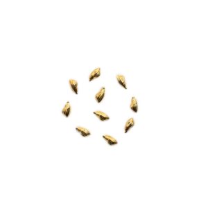 #074 Oro – Concha