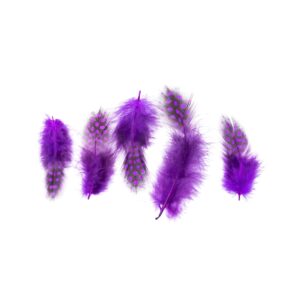 Plumas Moradas