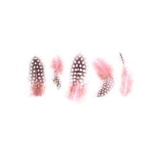 Plumas Rosa