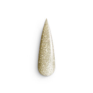 Acrylgel Champagne Party