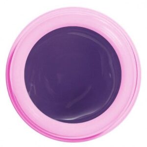 1005 Purple Rain