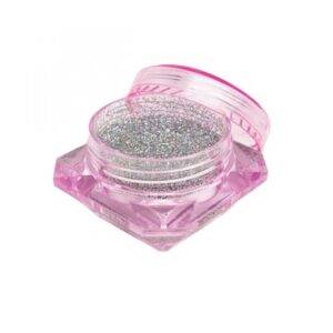 Glitter Holo Silver