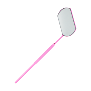 Lash Mirror