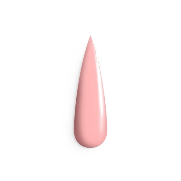 024 Kardashian Supreme