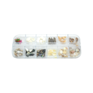 Pack Conchas