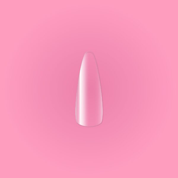 X-Tips – Almond Clear - Imagen 2